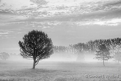 Dawn Mist_16434-5.jpg - Photographed at Smiths Falls, Ontario, Canada.
